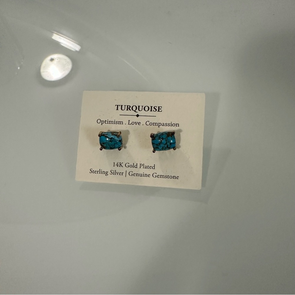 Shivam 14K Gold Plated Sterling Silver
Turquoise Gemstone Stud Earrings